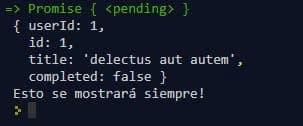 Salida de código Javascript en la consola, función finally()